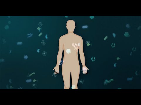 Mapping Signals in the Immune System