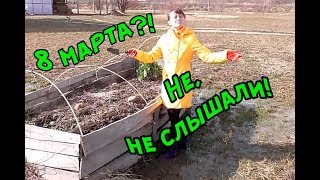 КАК Я 8 МАРТА ПРОВЕЛА / Червяк, ящерица, оса. // /Концерт/ Ах-жизнь!