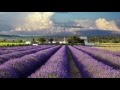 Lost in France / Bonnie Tyler - comeonBG Lost in France / Bonnie Tyler