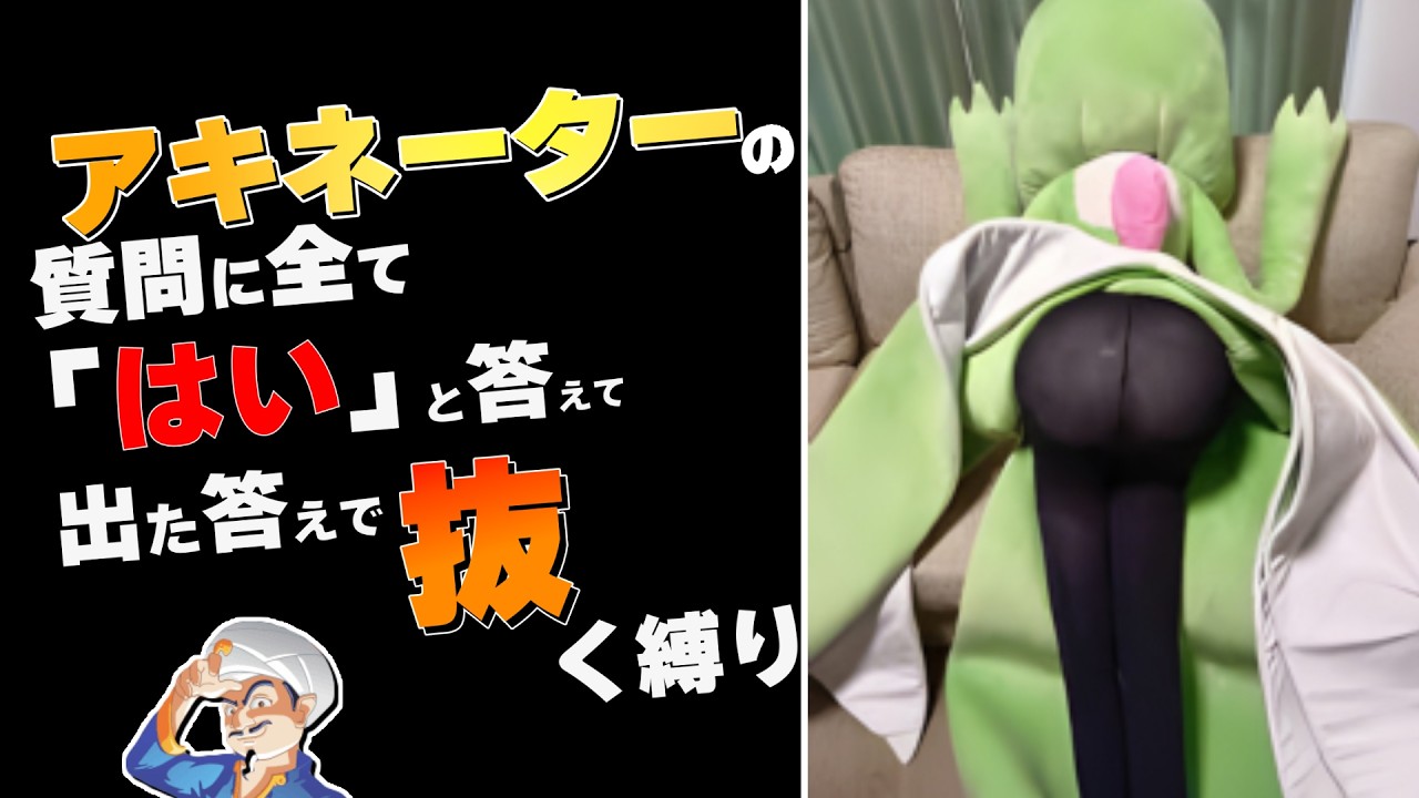 アキネーターに今夜のオカズ決めてもらう