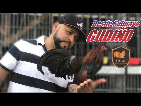 Great moments at the Gudiño Breeding Farm