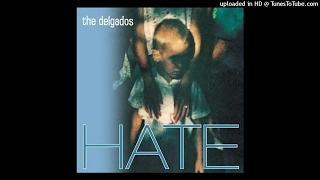 The Delgados - The Light Before We Land
