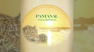 Pantanal Music Video