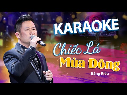 KARAOKE - CHIẾC LÁ MÙA ĐÔNG | BẰNG KIỀU - BẢN PHỐI HAY NHẤT