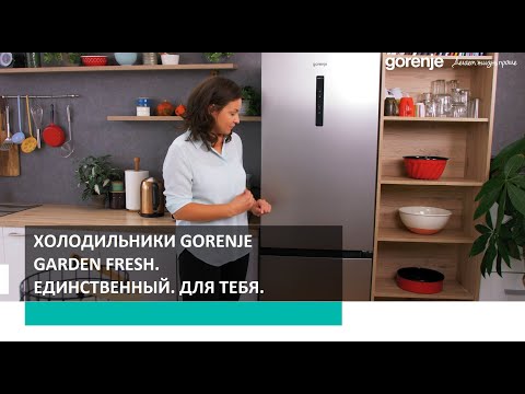 Gorenje NRK6202AC4 Beige