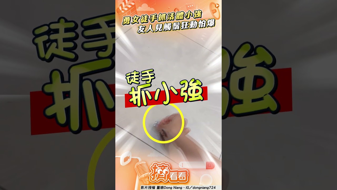 影音／勇女徒手抓活體小強！　「觸鬚狂抖動」網怕：手不能要了