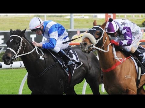 2014 ATC Chelmsford Stakes
