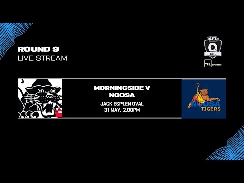LIVE TPIL Lawyers QAFL ROUND 9 - Morningside v Noosa