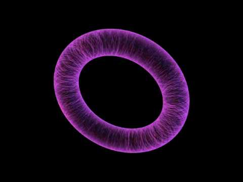 Torus with Infinitely Embedded Circles