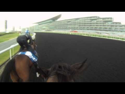 Exclusive video tour of the Meydan race track