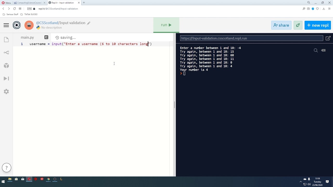 SDD Lesson 16  - Input Validation