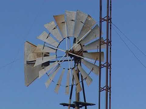 El Eucalipto - Paysandú