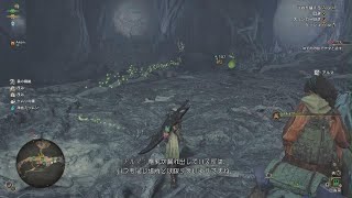 MHWilds｜シウシウ ｜MHWs