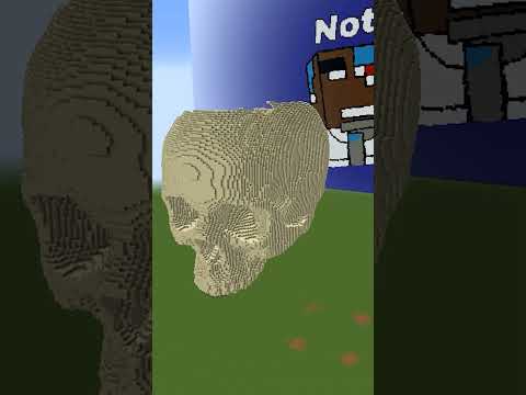 Minecraft: Skull BUILD CHALLENGE ( 2,000,000 Blocks )