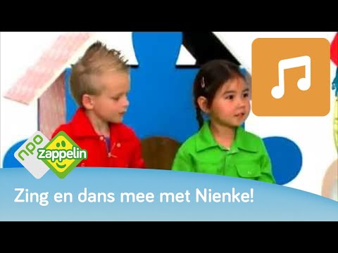 Zingen en dansen met Nienke van Zappelin - Kleuren