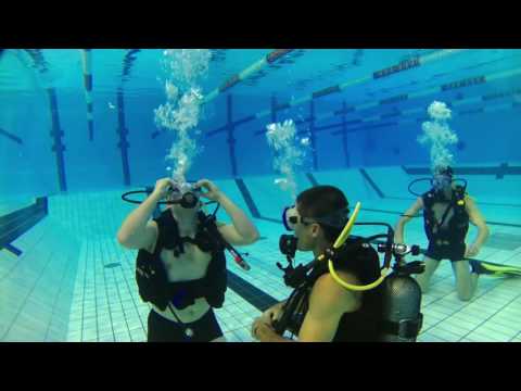 Préparation Niveau 1 de plongée