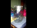 Lightning bug caught in jar