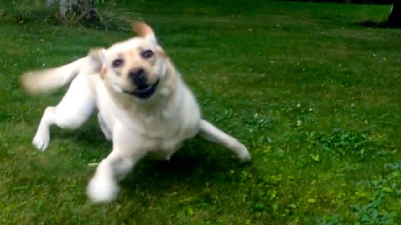 YouTube video preview