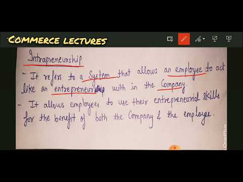 types of entrepreneurs and intrapreneurship innovative imitative fabian drone entrepreneurs