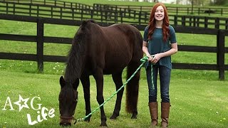 Miniature Horses, Ponytail How-To Hacks & More! | #TeamAGLife Episode 30 | American Girl