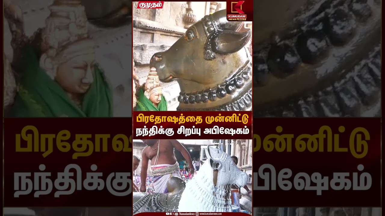 பிரதோஷத்தை முன்னிட்டு நந்திக்கு சிறப்பு அபிஷேகம் | Kumudam News