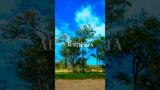 小さな変化で新しい自分になれる🌿オーストラリアの美しい景色でリフレッシュ✨️Australia/Perth/Drive/travel#refreshing #sky #nature