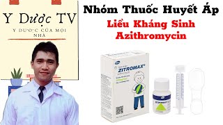 Liều dùng kháng sinh azithromycin | tính liều dùng kháng sinh bột zitromax | Y Dược TV