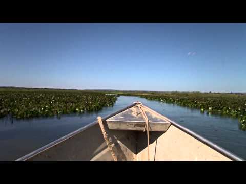 Trailer de Peixes do Velho Chico (2013)