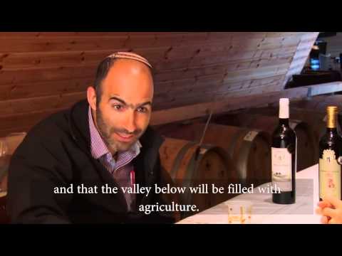 One Jew's Dream at Tura Winery