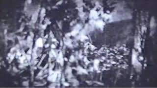 【配信】気まぐれに何かします。