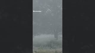 Download lagu Sampai menutup mata - Acha Septriasa #sampaimenutupmata #achaseptriasa #shorts #short #sadstatus mp3 Download lagu Sampai menutup mata - Acha Septriasa #sampaimenutupmata #achaseptriasa #shorts #short #sadstatus mp3