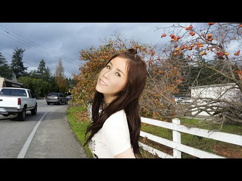 Ru tình sớm mai - Ướt Mi