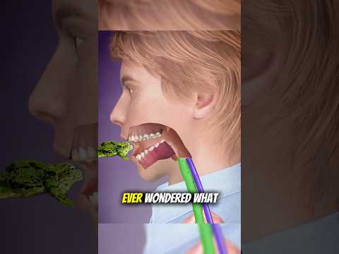 Why you should never eat a toad 🐸