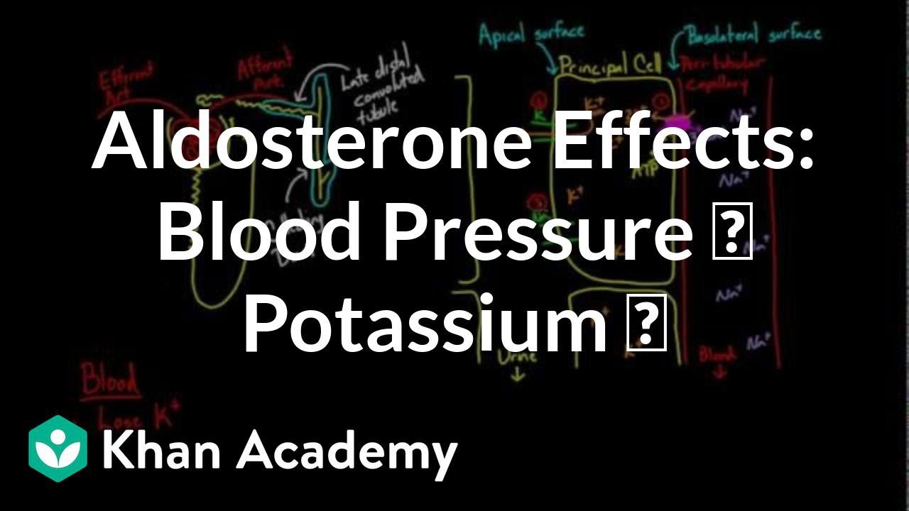 Aldosterone raises blood pressure and lowers potassium | NCLEX-RN | Khan Academy