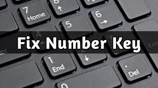 Fix Number Key Not working in keyboard 😡