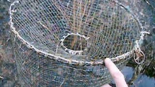 Как сделать мордушку для ловли ондатр