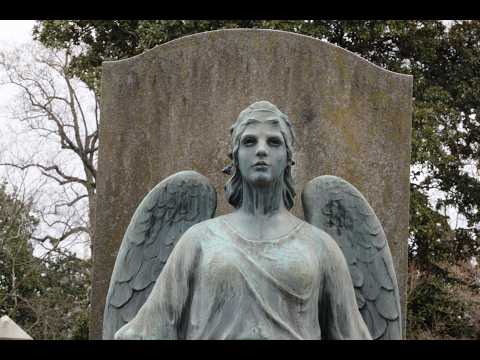Apalachicola Breakdown - Video