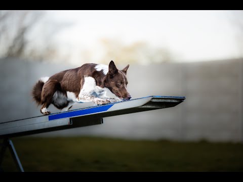 Pippa’s friday A1 exam 27/5/2022