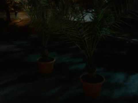 Ciprian Gabriel Live Stream