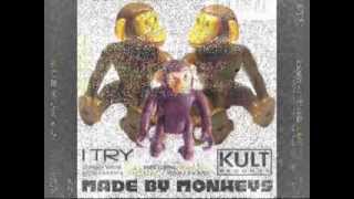Made By Monkeys - I Try (Peter Rauhofer Future Mix)