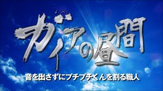 【ガイアの昼間】音を出さずにプチプチくんを割る職人