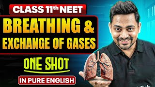 BREATHING AND EXCHANGE OF GASES Class 11th One Shot