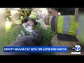 Cats Survive SoCal Apartment Fire After Firefighters And Deputy Perform CPR