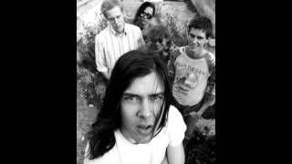 Butthole Surfers - The One I Love (Live REM Cover)