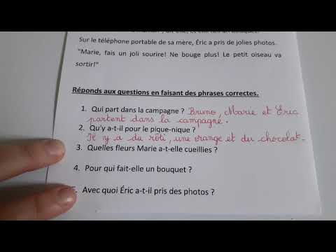 CE1 Lecture d'un texte : Pique-nique à la campagne
