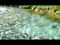 【自然音】せせらぎ - 4 / 1 Hour Nature Sounds - Babbling Brook Sounds