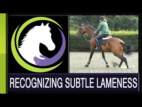 YouTube video about: How to tell if a horse is lame?