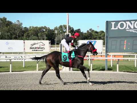 230205 c06 TUPUNGATO (BRZ)