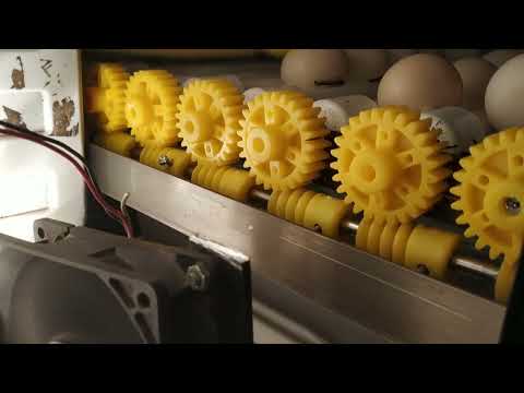 Egg incubator 360 degree rotation, home made egg Turner (if you required full video DM)
