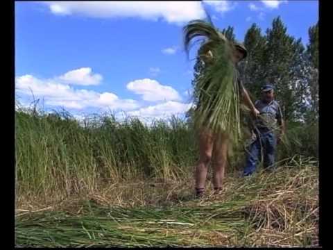 Lo rausèl per far de cadièiras